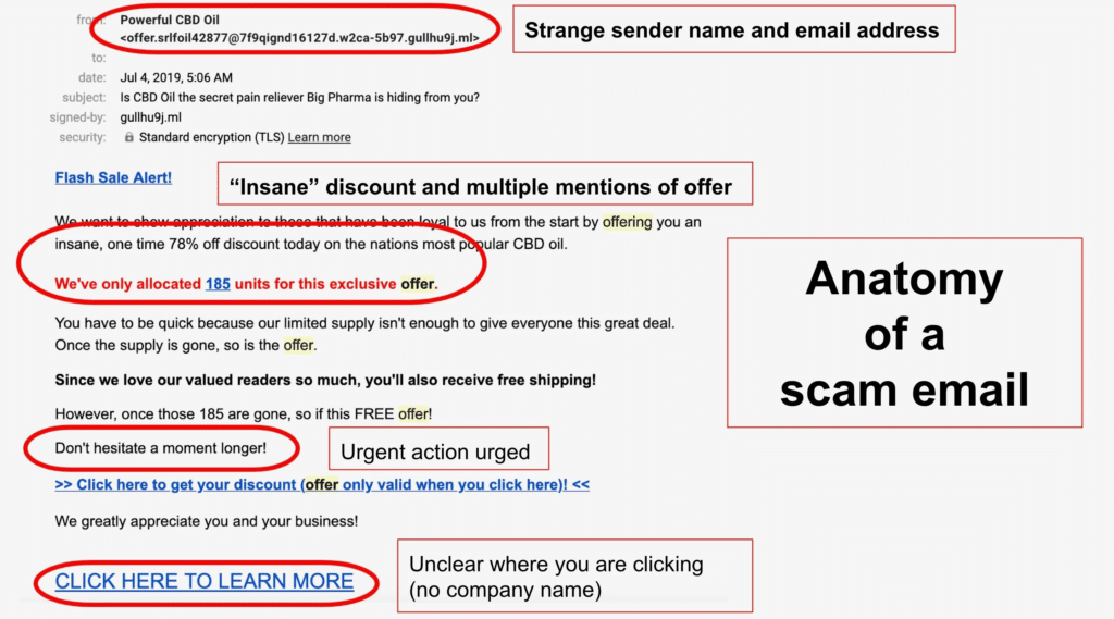 Anatomy of phising scam email